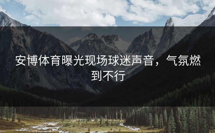 安博体育曝光现场球迷声音，气氛燃到不行